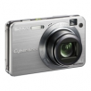 Sony Cyber-shot DSC-W170 10.1 MP 5X Zoom Digital Camera