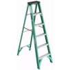 Werner 6' Fiberglass Type II Stepladder