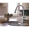 Hansgrohe AquaEra 2-Spray High Arc Kitchen Faucet