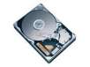 HITACHI Deskstar 1TB 7200 RPM 32MB Cache SATA 3.0Gb/s Hard Drive