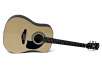 Lyon by Washburn Acoustic Guitar with Instructional DVD