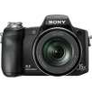 Sony Cyber-shot DSCH50 9.1 MP Digital Camera with 15x Optical Zoom with Super Steady Shot