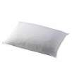 Two The Big One Overstuffed Pillows for $8.99