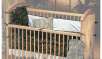 Wildlife Three-Piece Crib Set