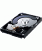 Samsung Ecogreen F2 1TB Serial ATA/300 32MB Buffer Hard Drive - HD103SI