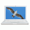 Apple MacBook 13.3" Laptop: Core 2 Duo 2.16GHz, 1GB RAM, 120GB Hard Drive (Refurbished)