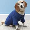 Lands' End Pet Polo Shirt