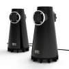 Altec Lansing FX3022 Expressionist Bass 2-Piece Speakers - Built-In Subs, AUX In, Volume Control