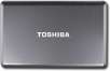 Toshiba Satellite Laptop with AMD Athlon II Dual-Core Processor - Graphite Gray - L505D-S5983