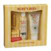 Overstock Burt's Bees Secret Sale: Lip Balm Kit for $23 + Free Shipping