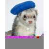Marshall Ferret Beret, Black